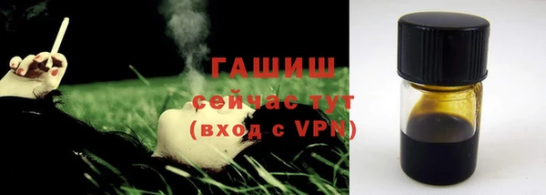 индика Кедровый