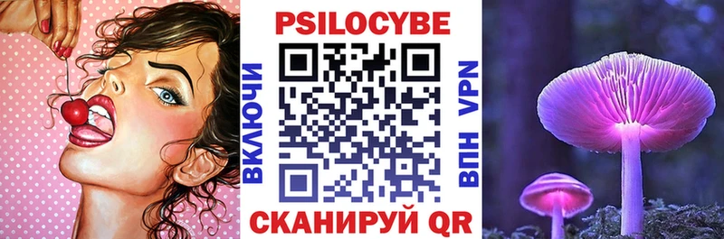 Купить закладки  Заволжск  Галлюциногенные грибы Cubensis 